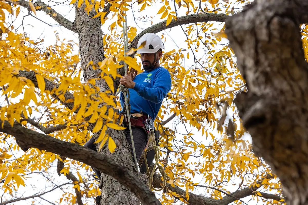 Skilled Storm Damage Cleanup crew working in Vernon Center